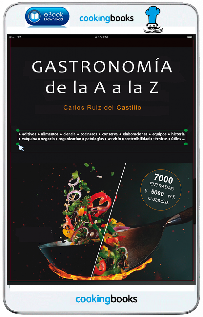 eBook GASTRONOMÍA de la A a la Z - Carlos Ruiz del Castillo