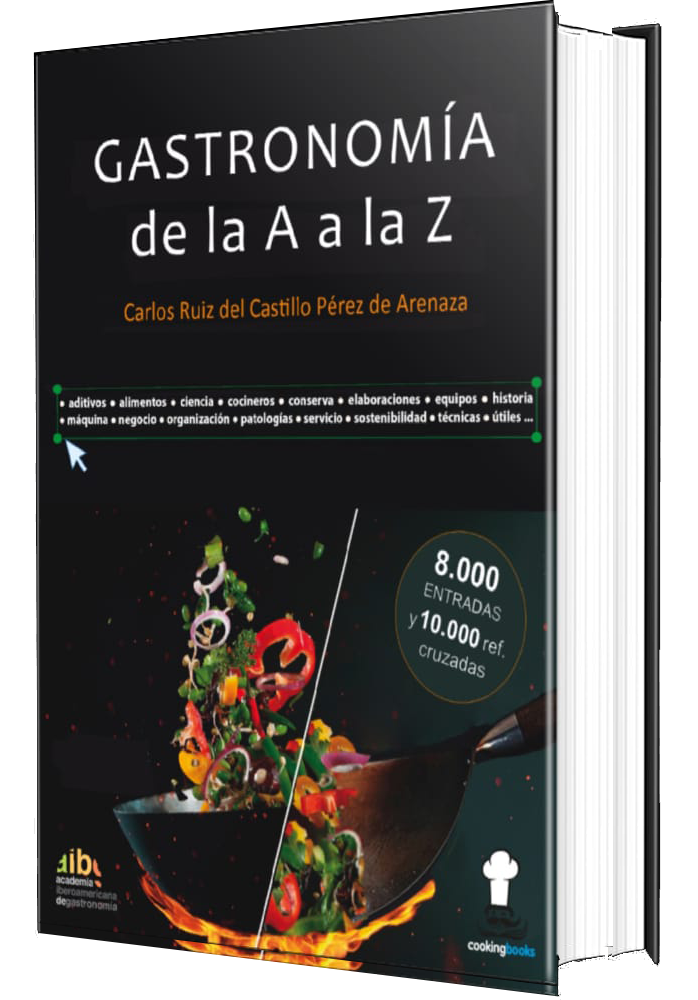 Libro en Papel GASTRONOMÍA de la A a la Z - Carlos Ruiz del Castillo